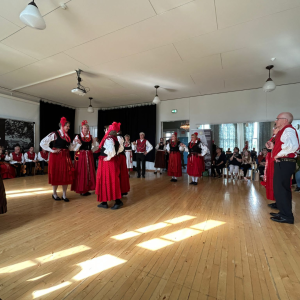 Härkmeri purpuri